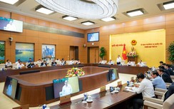 Sớm thông qua Luật Năng lượng nguyên tử (sửa đổi) để triển khai điện hạt nhân Ninh Thuận