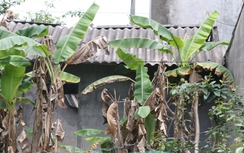 Khu tái định cư di dân vùng thiên tai ở Thái Nguyên 10 năm hoang hóa