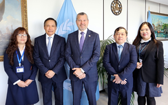 IMO cam kết đồng hành cùng Việt Nam triển khai các công ước quốc tế về hàng hải