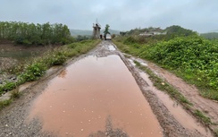 Quảng Ninh: Dự kiến nâng cấp tuyến đê xã Đường Hoa cuối năm 2025