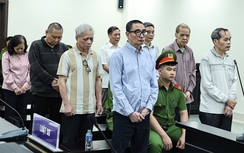 Mang "đất vàng" đi góp vốn, cựu lãnh đạo Tổng công ty Chè Việt Nam bị đề nghị mức án nào?