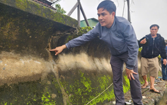 Hà Tĩnh: Sớm có phương án sửa chữa tuyến đê Hữu Nghèn xuống cấp