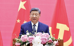 Tổng Bí thư, Chủ tịch Trung Quốc: Quan hệ Trung - Việt "như cây có cội, như suối có nguồn"