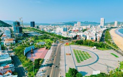 Bình Định kết thúc hoạt động 19 Ban chỉ đạo, tinh gọn bộ máy