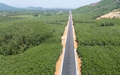 Bình Định chỉ đạo nhiều vấn đề "nóng" để sẵn sàng cho dự án đường sắt tốc độ cao