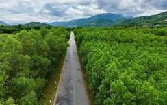 Cao tốc Quảng Ngãi - Kon Tum bao giờ triển khai?