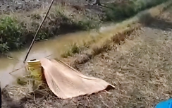 Giẫm phải dây điện bẫy chuột, một người tử vong