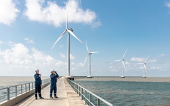 Chính phủ nêu hướng giải quyết cho dự án điện tái tạo vướng điều kiện hưởng giá FIT