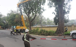 Hà Nội chủ động các giải pháp ứng phó mùa mưa bão