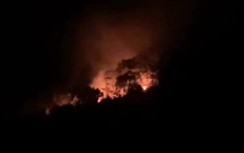 Đã kiểm soát đám cháy ở Vườn Quốc gia Ba Vì