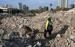 Vụ sập tòa nhà 30 tầng ở Bangkok: Phát hiện nhiều nạn nhân là người Myanmar