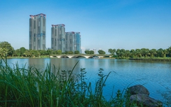 Phát triển công trình xanh là nền tảng cho đô thị Việt Nam vươn mình