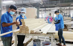 Quý I/2025, Việt Nam xuất khẩu gỗ sang thị trường Mỹ đạt hơn 2 tỷ USD