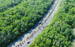 Ngắm cung đường xanh mướt sắp có tuyến metro nối TP.HCM với biển Cần Giờ