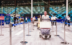 Lập đoàn kiểm tra tình hình khai thác phục vụ mặt đất tại sân bay Tân Sơn Nhất