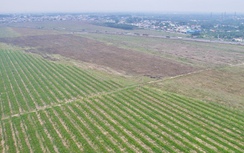 Đồng Nai: Phê duyệt thêm khu công nghiệp 1.800 tỷ đồng gần sân bay Long Thành