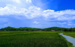 Đặt tên xã mới: Quảng Ngãi bỏ đánh số, một phường ở Kon Tum mang tên tỉnh cũ