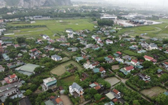 Tìm phương án giải quyết dứt điểm tình trạng "người Nghệ, đất Thanh"