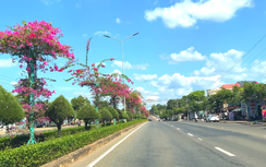 Bình Phước: Tăng tốc xây dựng nông thôn mới với mục tiêu nâng cao và kiểu mẫu