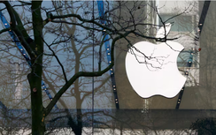 Apple chuyển toàn bộ dây chuyền lắp ráp iPhone bán tại Mỹ từ Trung Quốc sang Ấn Độ