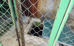 Hà Tĩnh: Bé trai 5 tuổi tử vong trong bể chứa nước tại trường mầm non