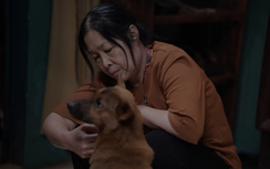 Phim kinh dị "Tìm xác: Ma không đầu" đột ngột dừng chiếu: Đạo diễn nói gì?