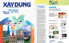 Sức mạnh Việt Nam