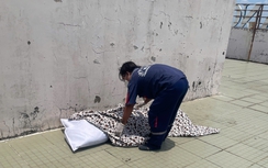 Phát hiện thi thể đang phân hủy trên sân thượng chung cư