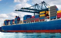 Bàng hoàng trước mức thuế 46%, doanh nghiệp mong chờ cuộc đàm phán cấp cao Việt - Mỹ