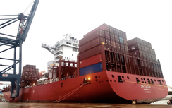 Cảng biển tất bật làm hàng xuyên lễ