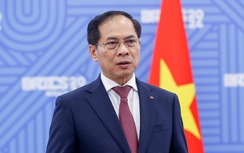 Phó Thủ tướng Bùi Thanh Sơn làm Tổ trưởng công tác ứng phó thuế đối ứng của Mỹ