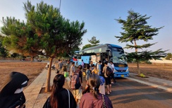 Gia Lai: Phát hiện nhiều vi phạm tại nhà xe có nhân viên đánh người sau va chạm