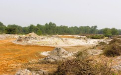 Chuyển mục đích sử dụng hơn 6,6ha rừng làm đường tránh TP Đông Hà