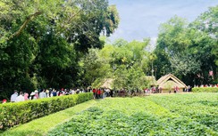 Lòng người như lắng lại giữa Làng Sen