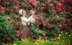 Sa Pa rực rỡ sắc hoa, nhộn nhịp đón hàng chục nghìn du khách