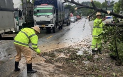 Tuyên Quang: CSGT dọn cây đổ, đất đá giúp người dân an toàn qua đoạn ngập úng trên QL2