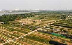 Người dân mong sớm được xây công trình tạm trên đất bãi ven sông Hà Nội