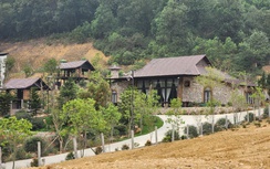 Nhiều huyện ngoại thành rộ vi phạm đất đai, Hà Nội siết chặt quản lý