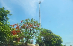 Hà Tĩnh: Đề nghị rà soát, báo cáo vụ doanh nghiệp xây trạm tín hiệu không phép