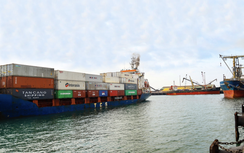 Chi lớn để hút tàu mở tuyến, hàng container qua cảng biển Hà Tĩnh vẫn "lẹt đẹt"