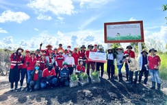 INSEE Việt Nam: Phát triển bền vững hướng tới các mục tiêu ESG