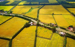 Bản tin Bất động sản 13/5: Những lưu ý khi chuyển đổi đất nông nghiệp sang đất ở