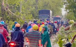 Đồng Nai: Dông lốc lớn khiến nhiều cây đổ, nhà tốc mái ở Định Quán