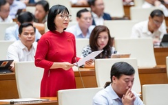 ĐBQH: Không thể phát hiện người tài nếu chỉ nhìn vào hồ sơ, bằng cấp