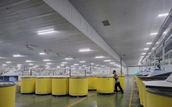 Chuyển đổi xanh, chuyển đổi số: Động lực tăng trưởng mới cho ngành dệt may