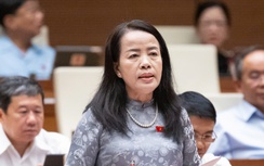 Băn khoăn bỏ quyền chất vấn Chánh án, Viện trưởng kiểm sát của đại biểu HĐND