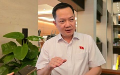 Sữa, thực phẩm chức năng giả tràn lan: Không thể "rút kinh nghiệm" là xong