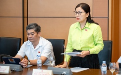 ĐBQH đề xuất tăng mức phạt tối đa vi phạm giao thông lên 200 triệu đồng