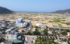 Quảng Ngãi thu hồi gần 400ha đất thực hiện loạt công trình, dự án