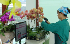 "Giấy thông hành" cho nông sản Việt vào thị trường cao cấp